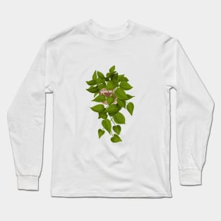 Jade Pothos Plant Illustration Long Sleeve T-Shirt